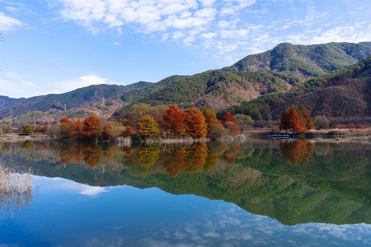 주천생태공원 관광사진