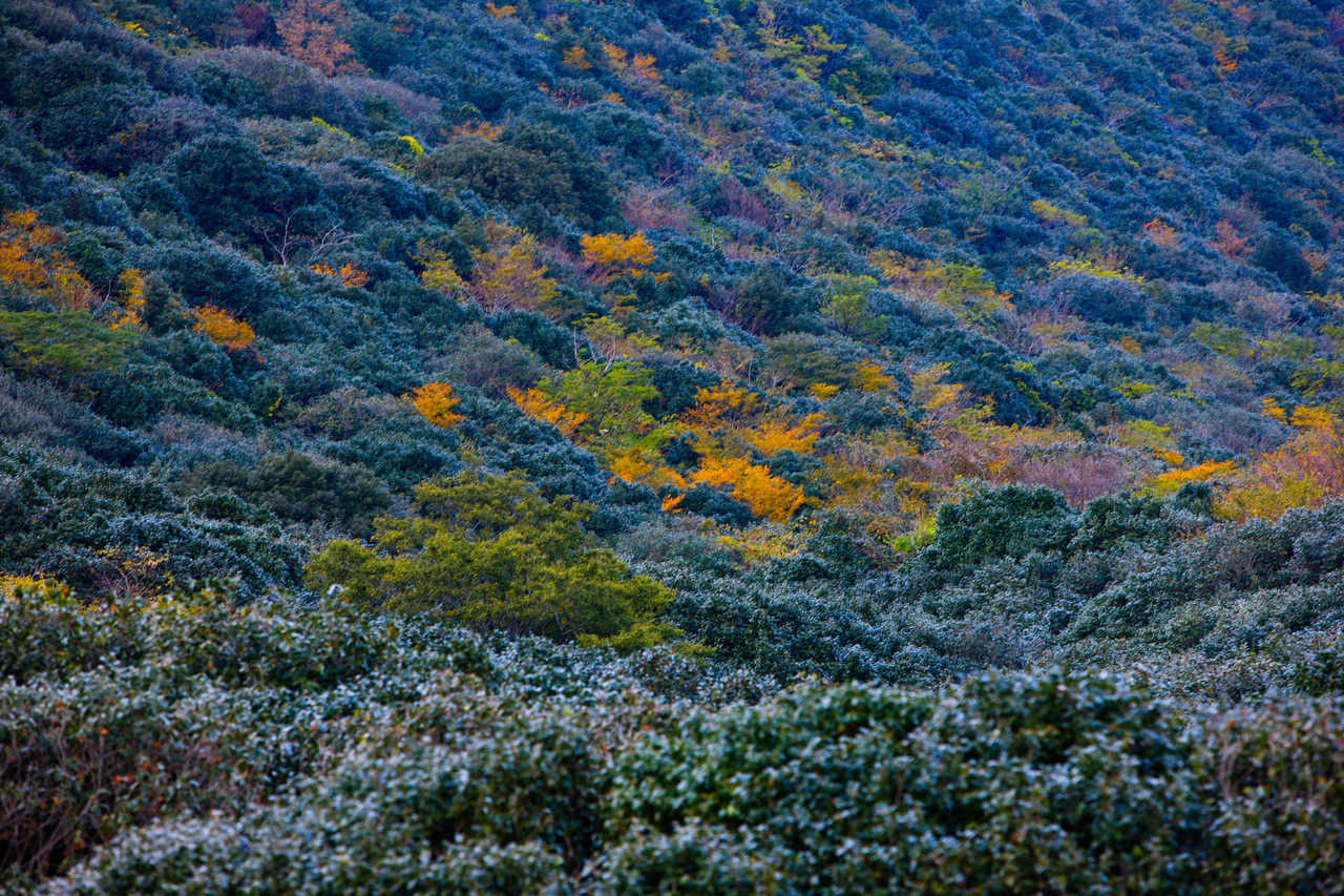 천관산 사진 2