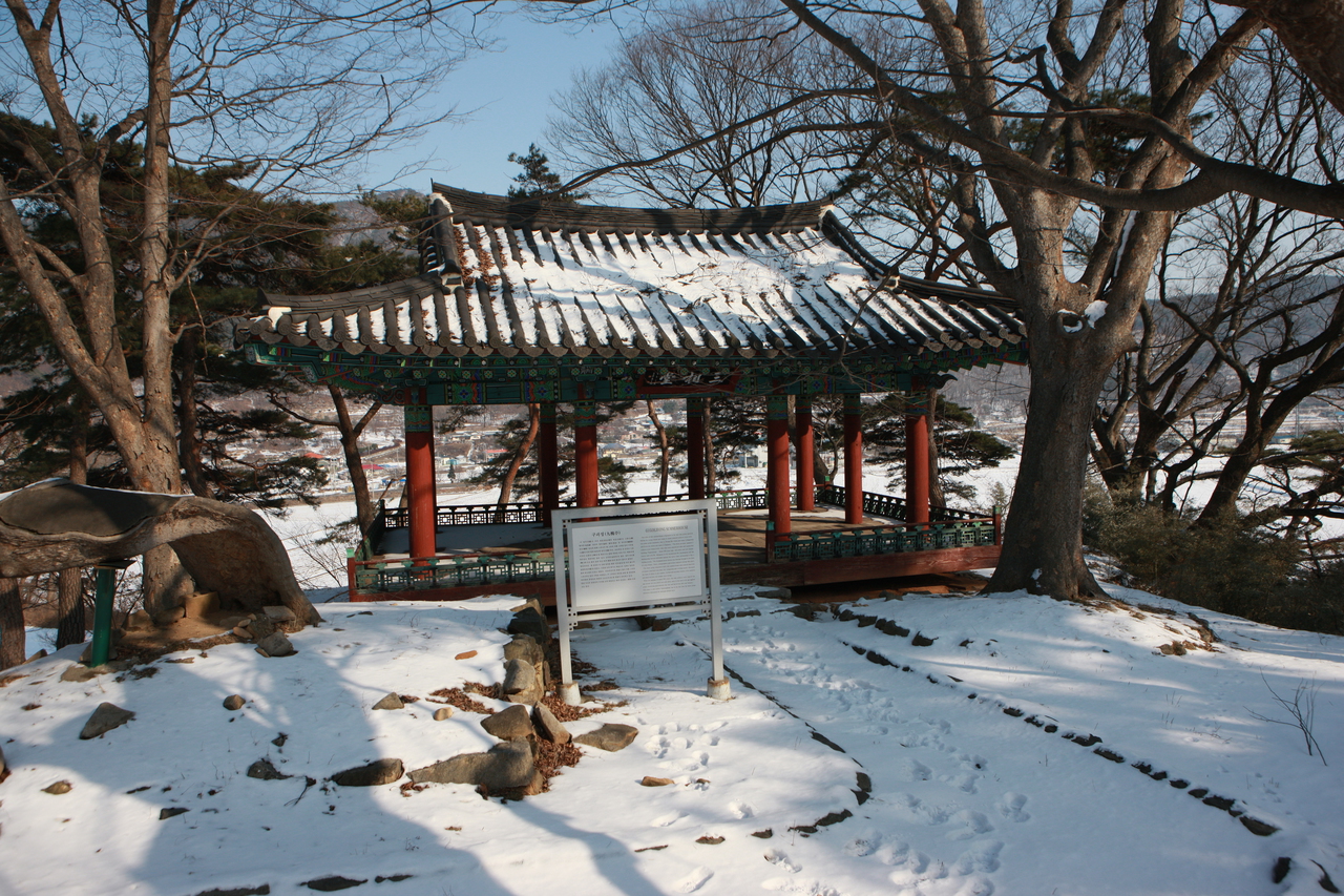 구괴정