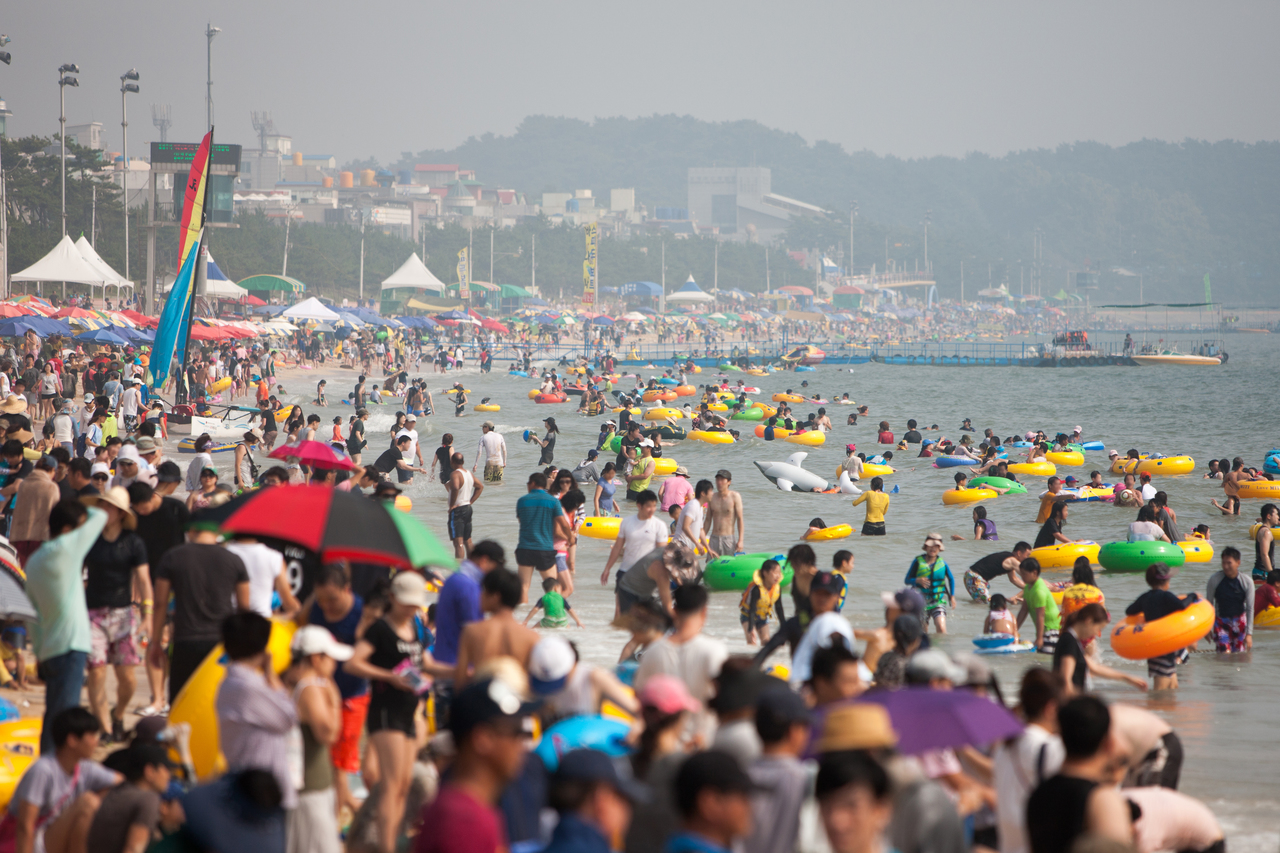보령머드축제
