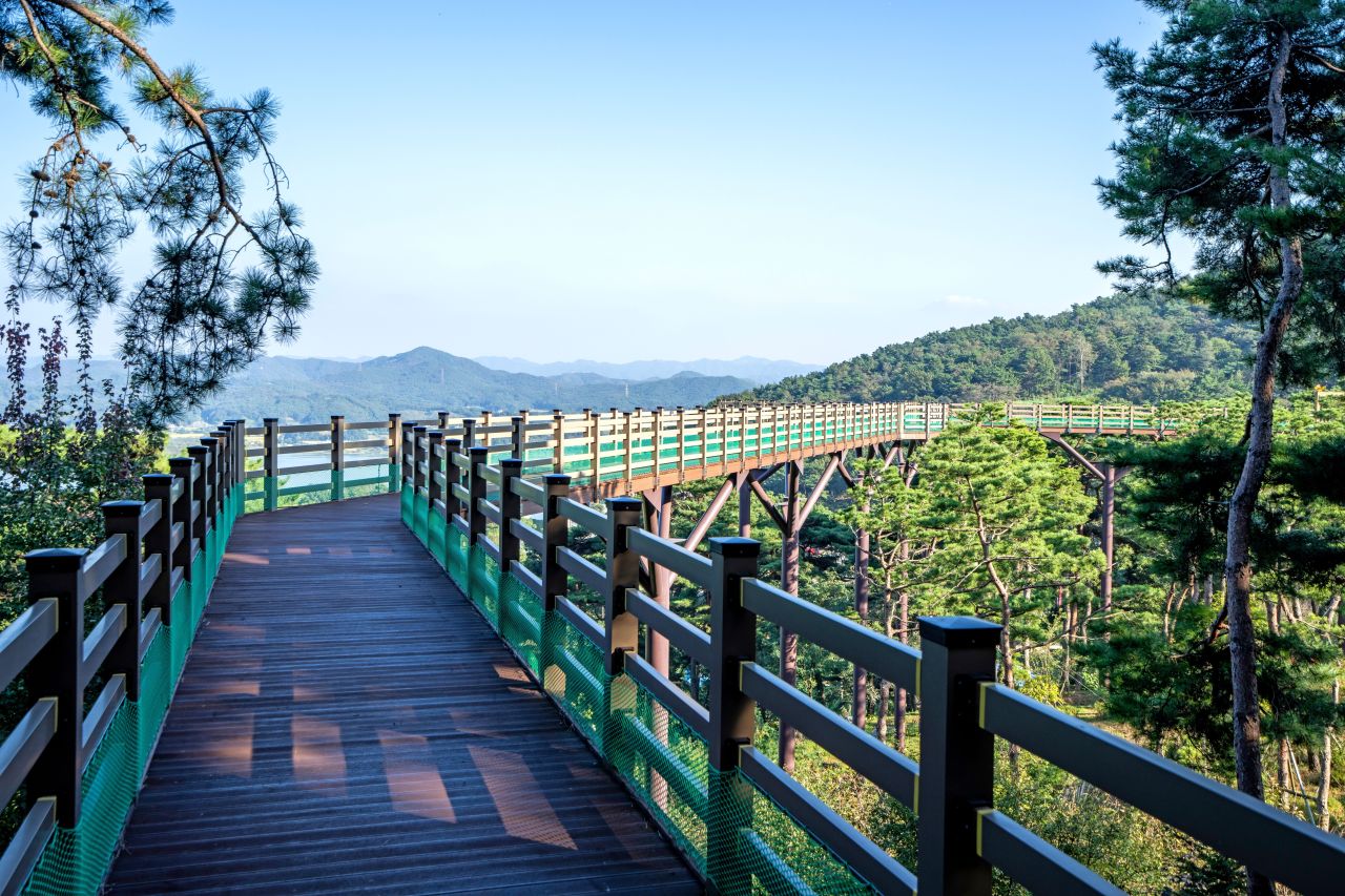 봉수산 수목원
