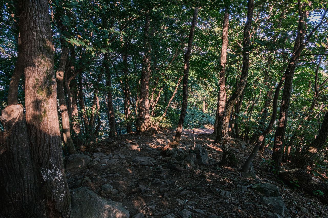 광덕산