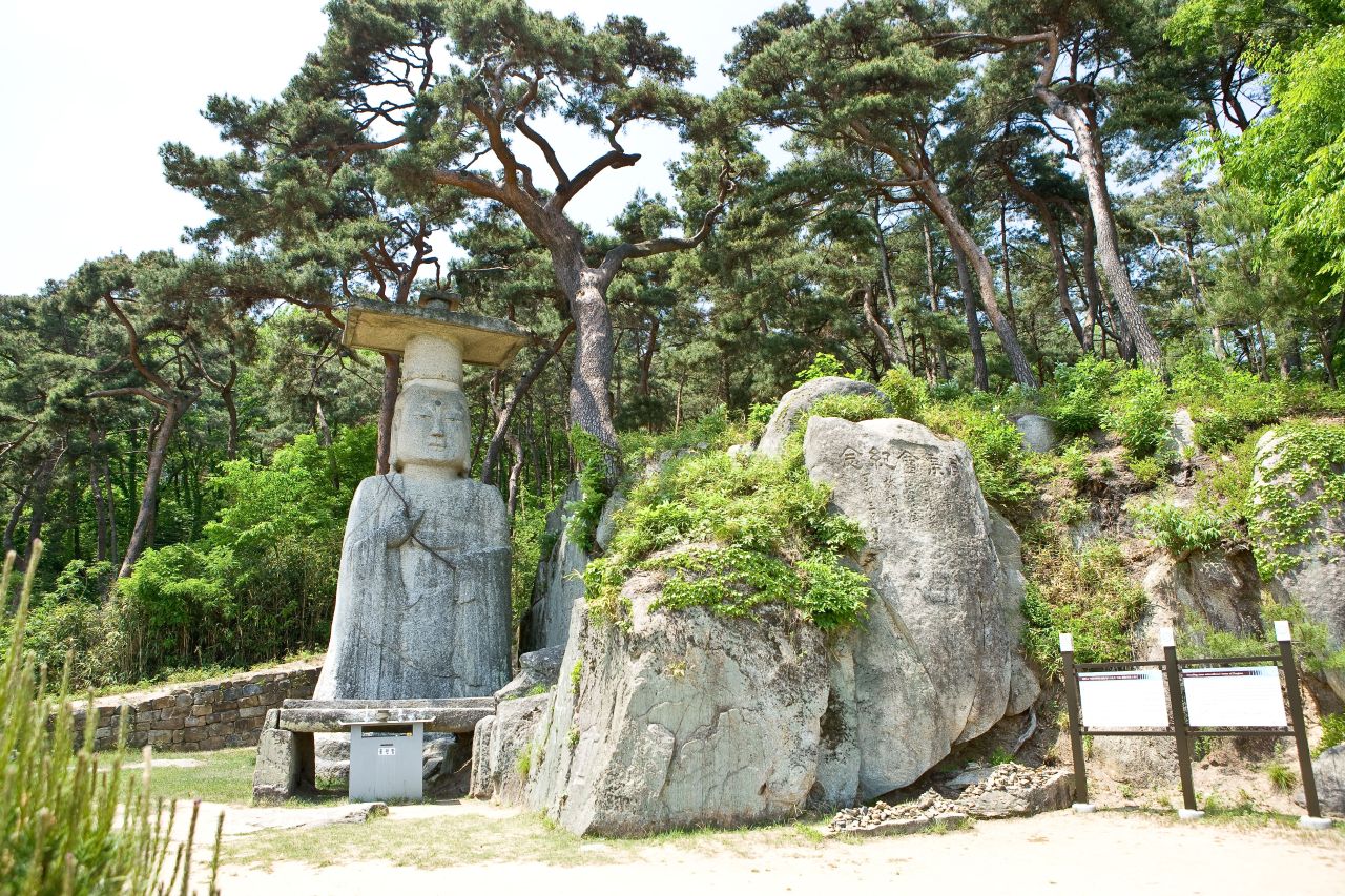 대조사 - 관광 포토