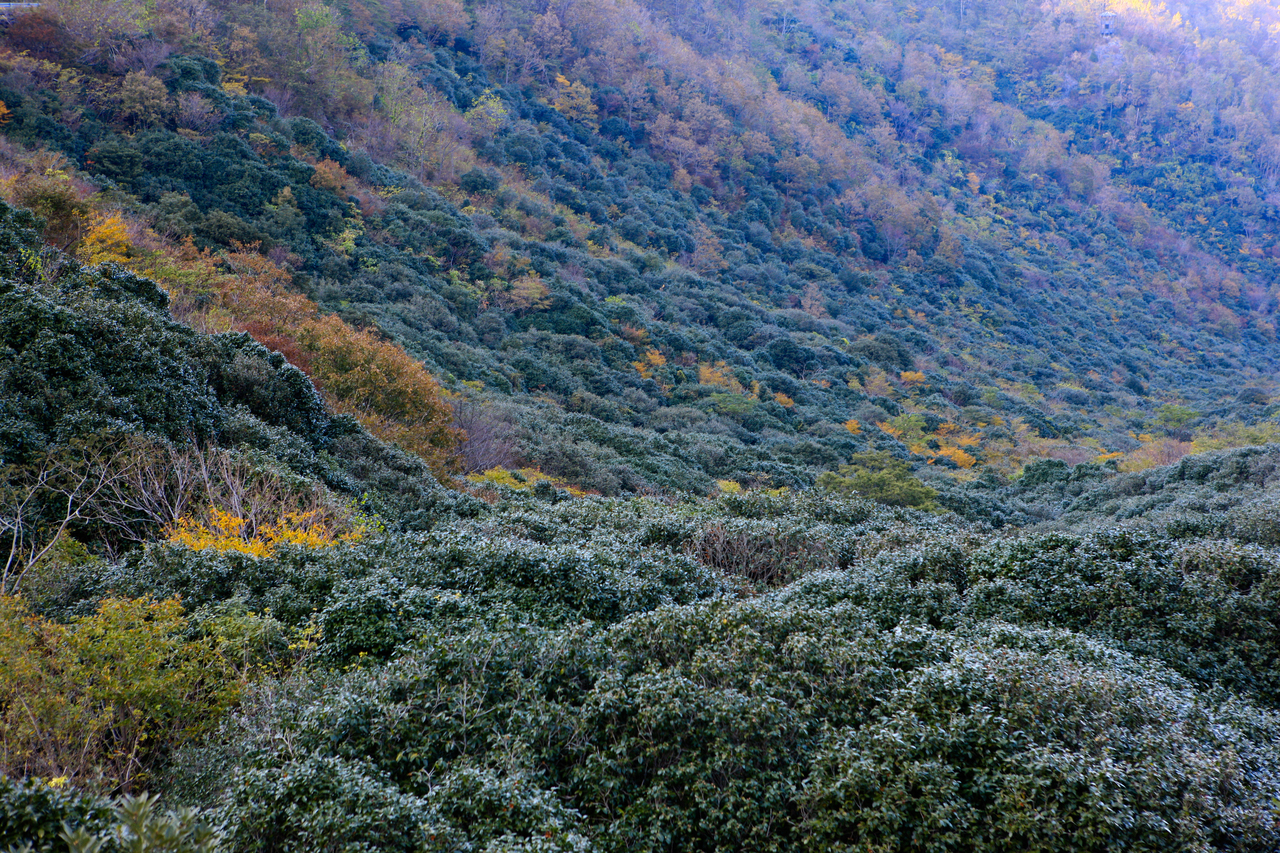 천관산 사진 3