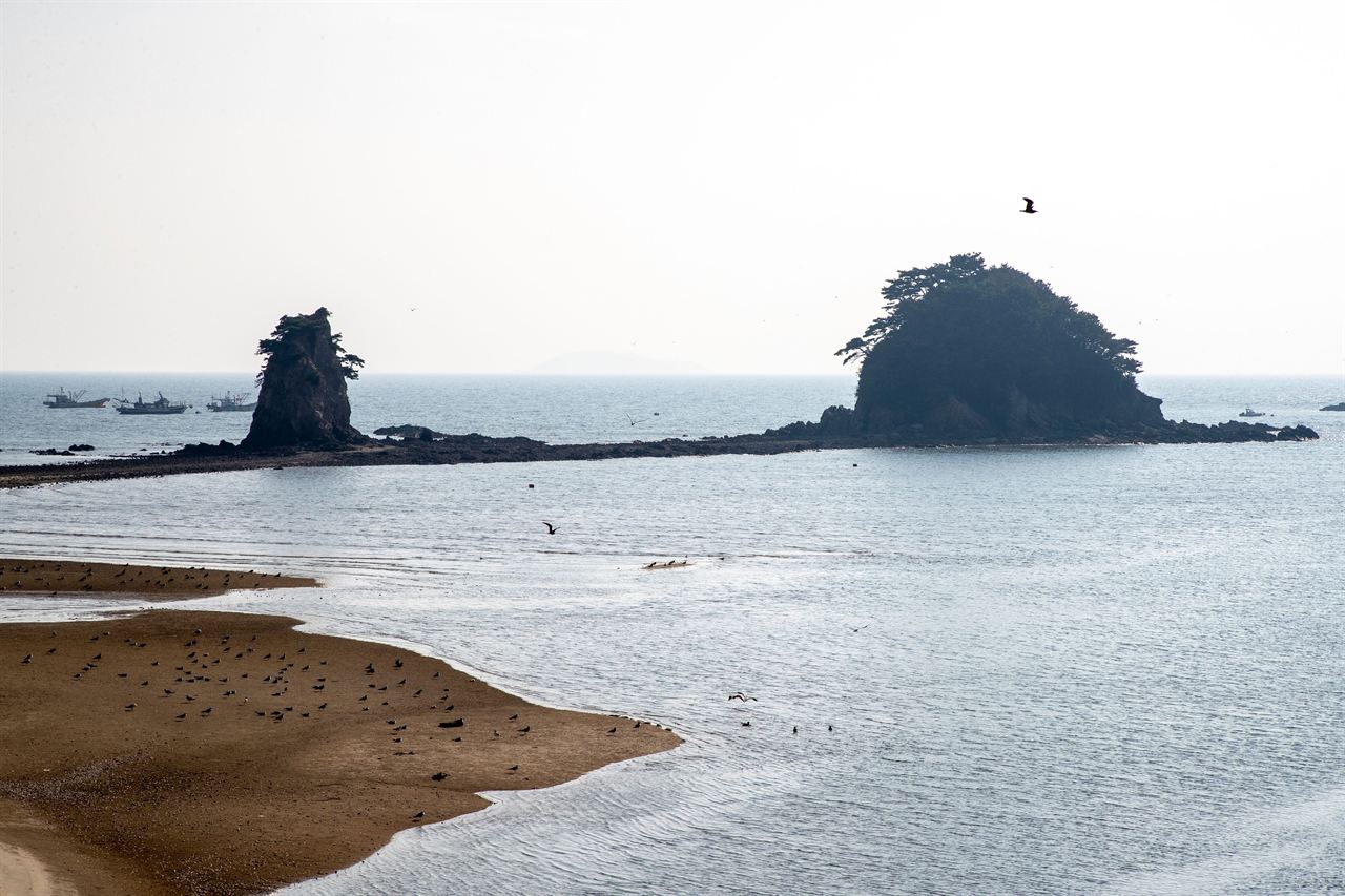 꽃지해수욕장