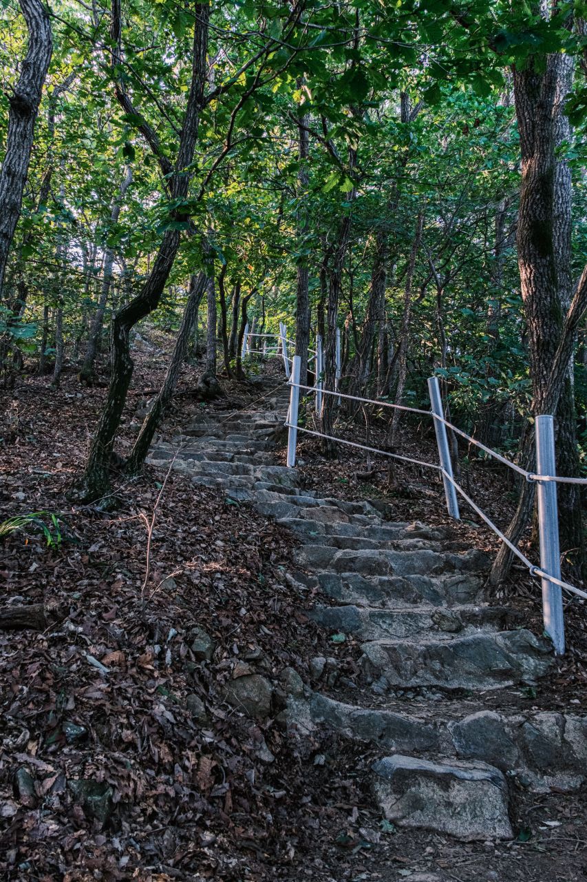 광덕산