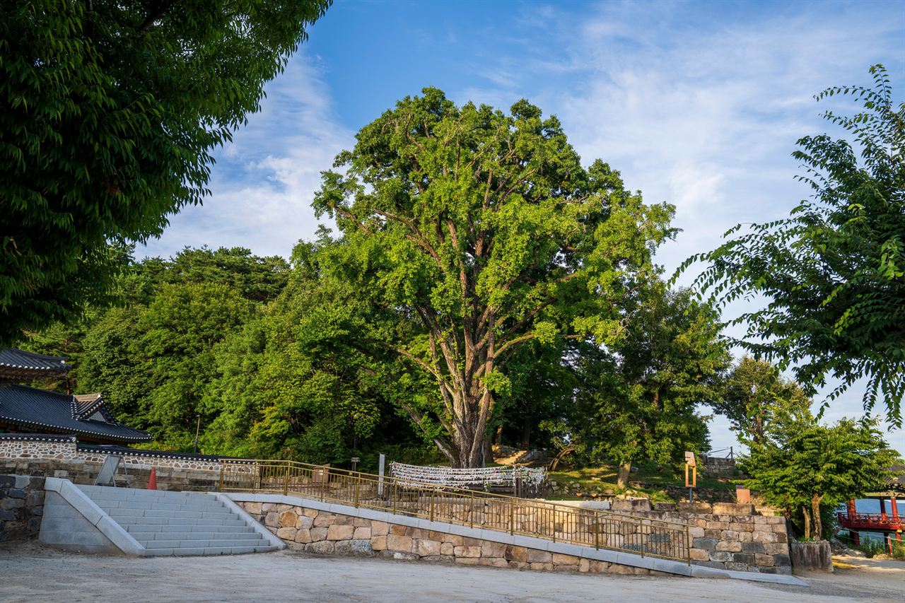 여주 신륵사 관광사진