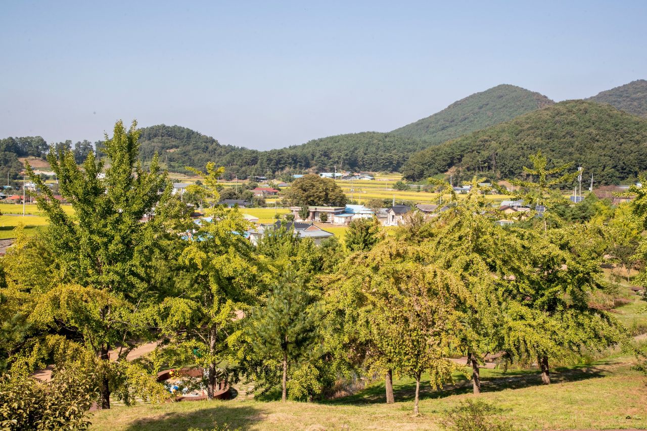 예산황새공원