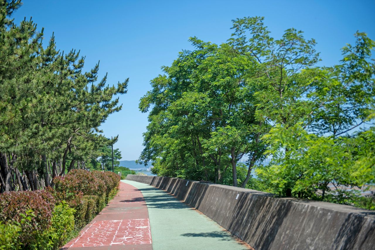 강서구 신호동 관광사진