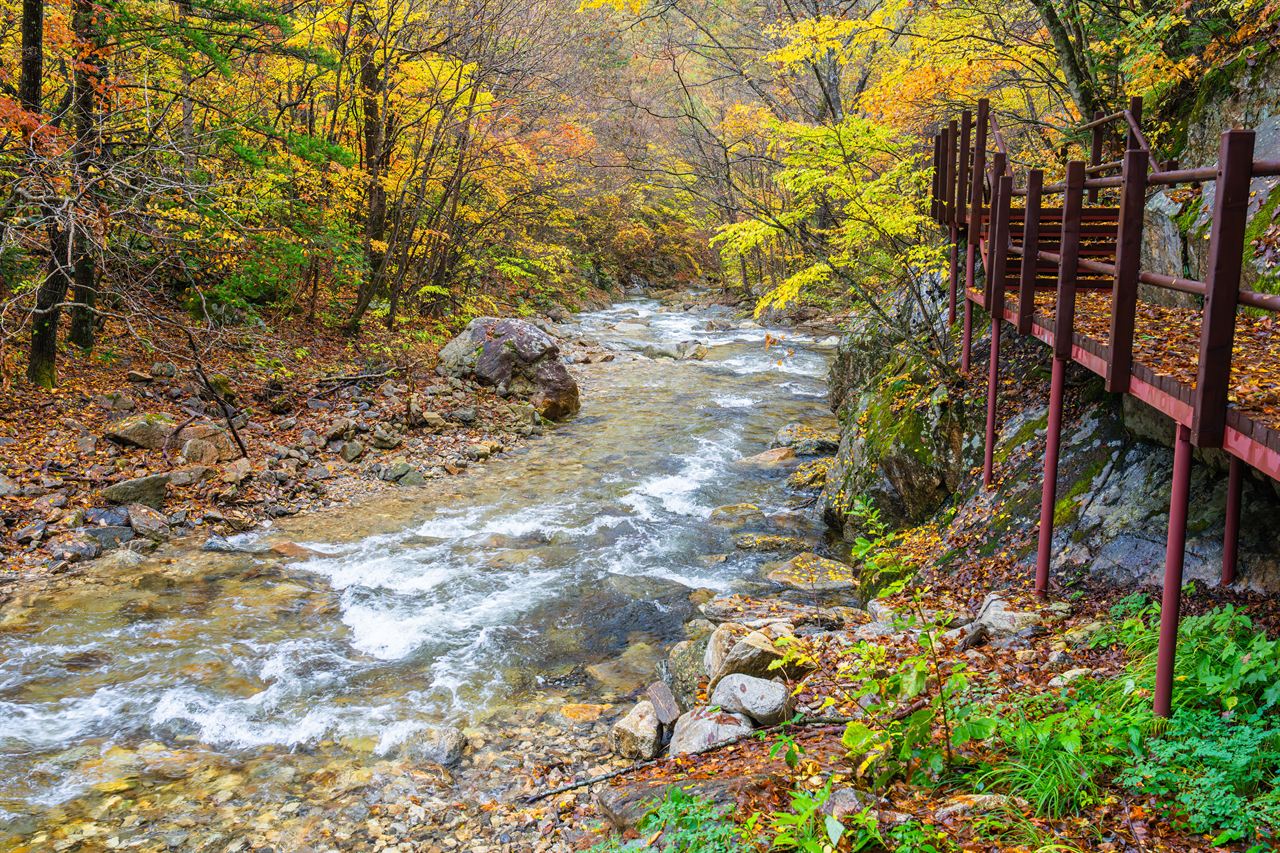 오대산