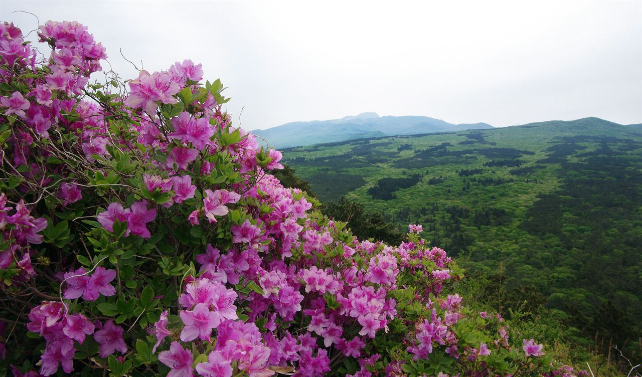 漢拏山国立公園 한라산