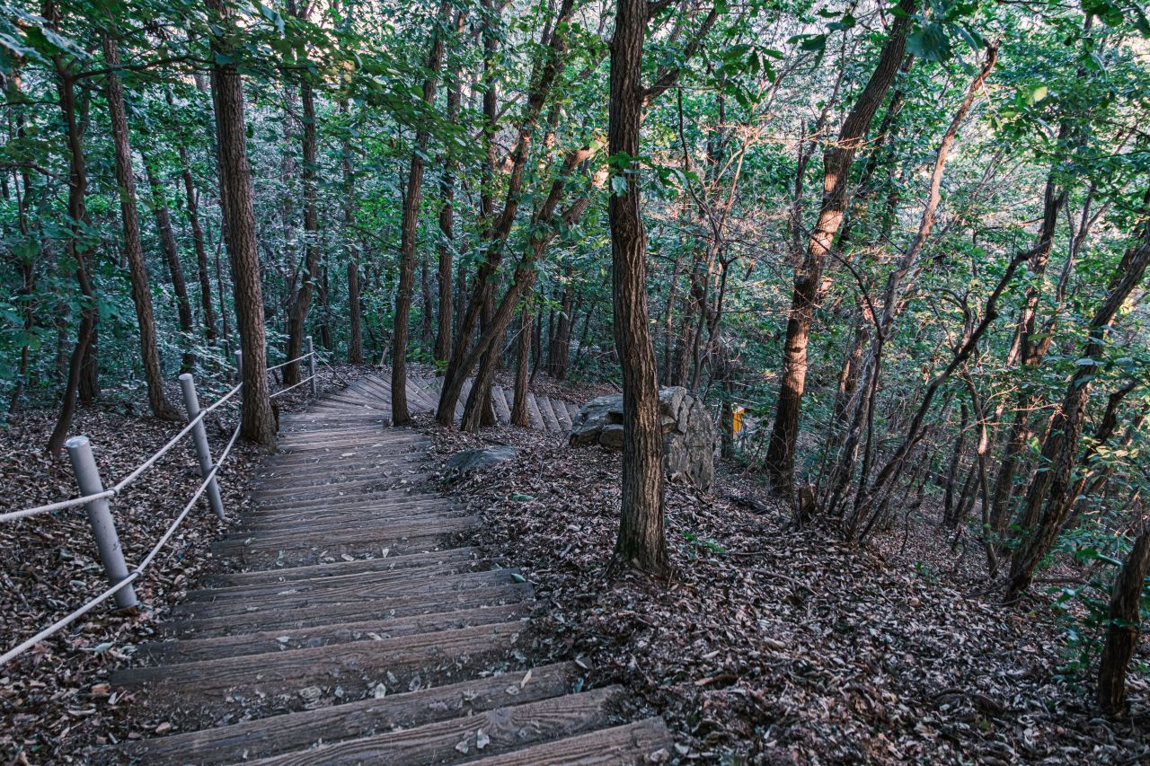 광덕산