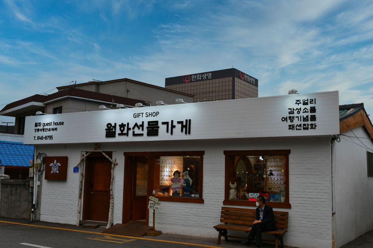 강릉 월화거리 관광사진