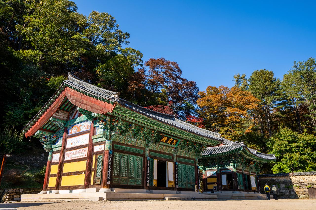 보은 법주사 관광사진
