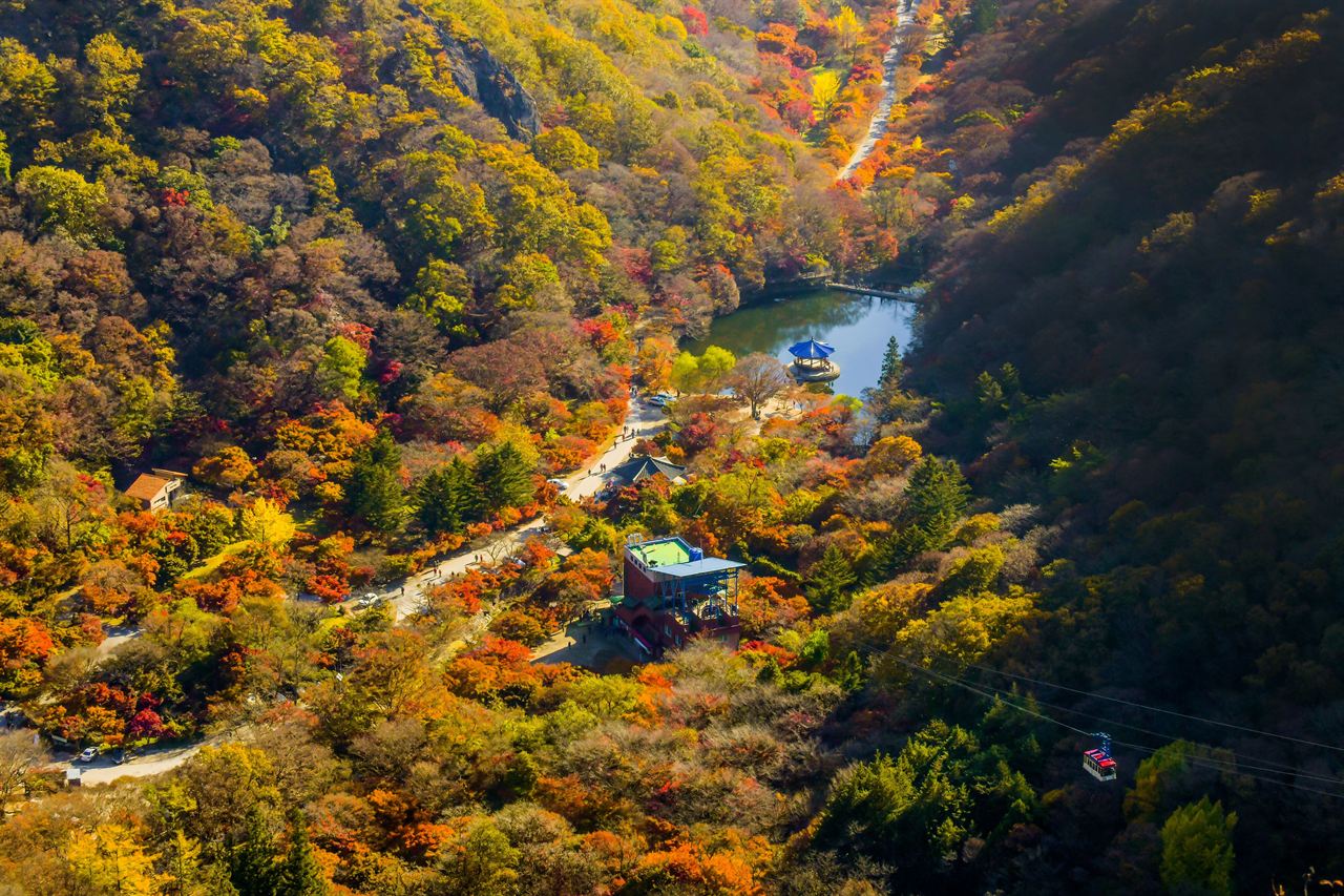 내장산국립공원 — ⓒ한국관광공사 포토코리아-두드림 (Korea Tourism Organization, KOGL Type 1)