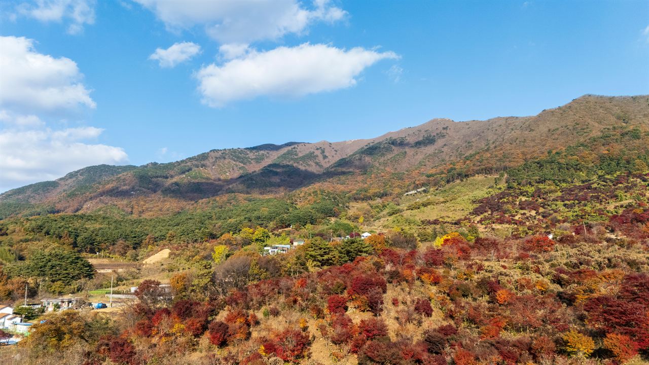오서산