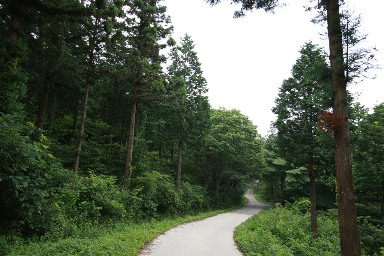 축령산 사진 2