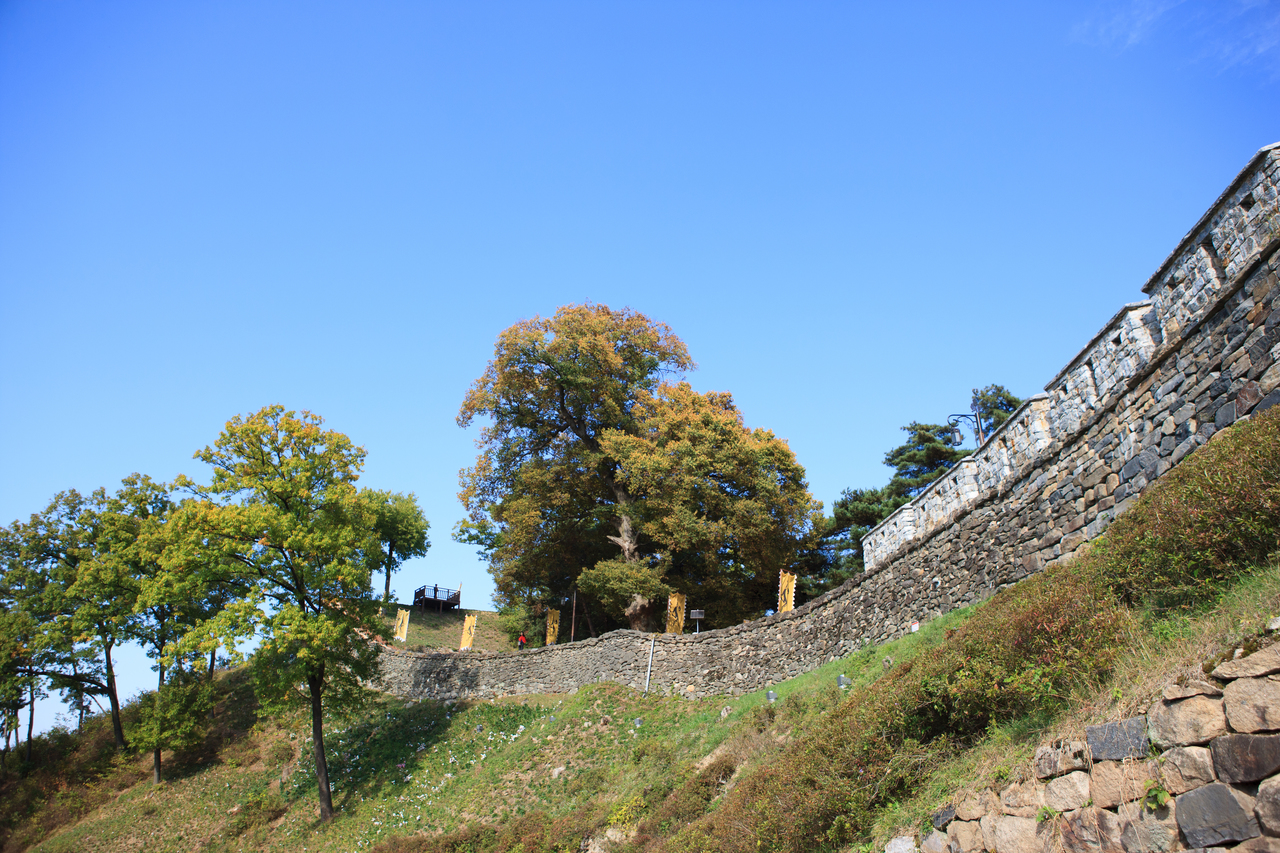 공산성