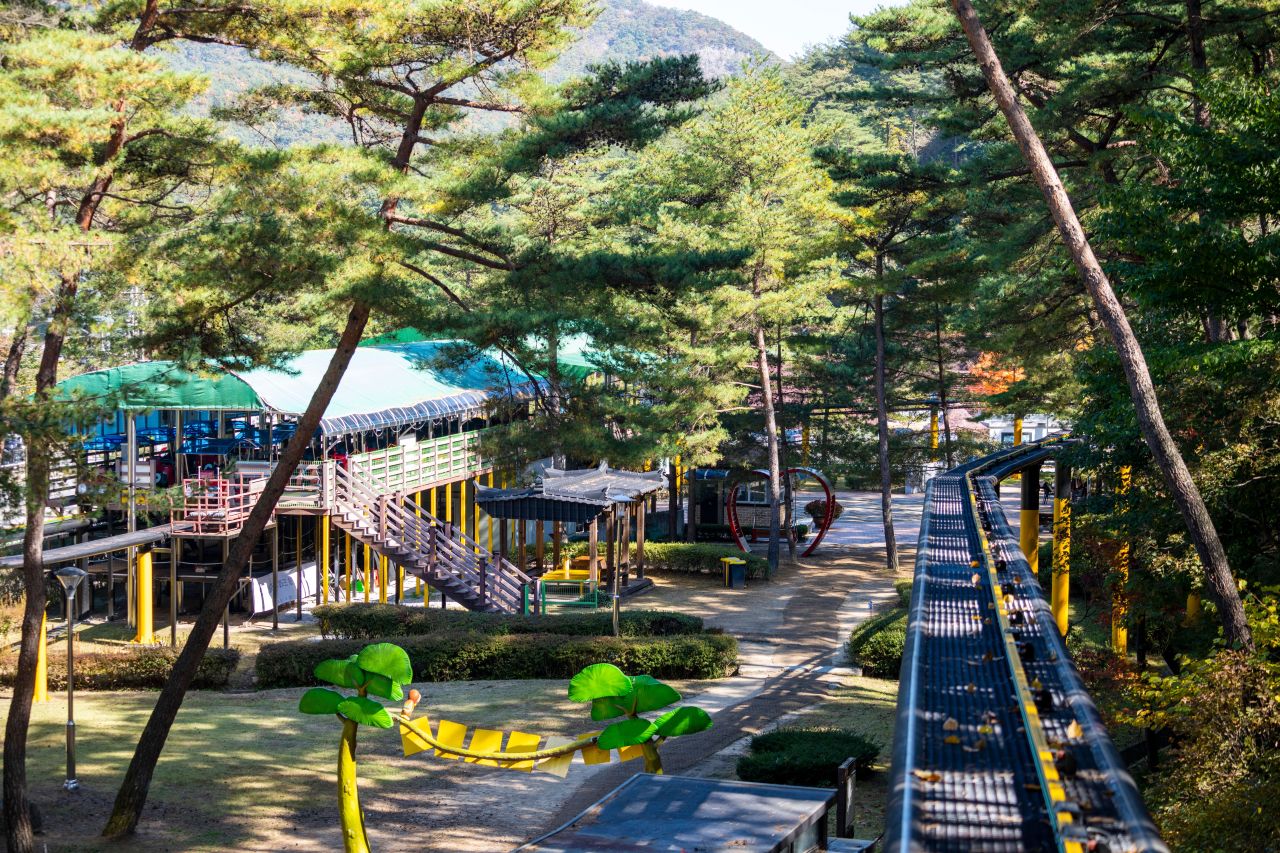속리산테마파크 관광사진