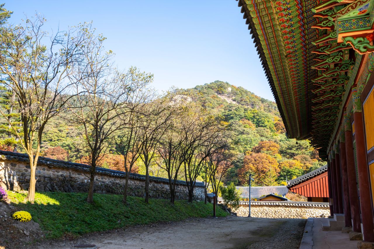 보은 법주사 관광사진