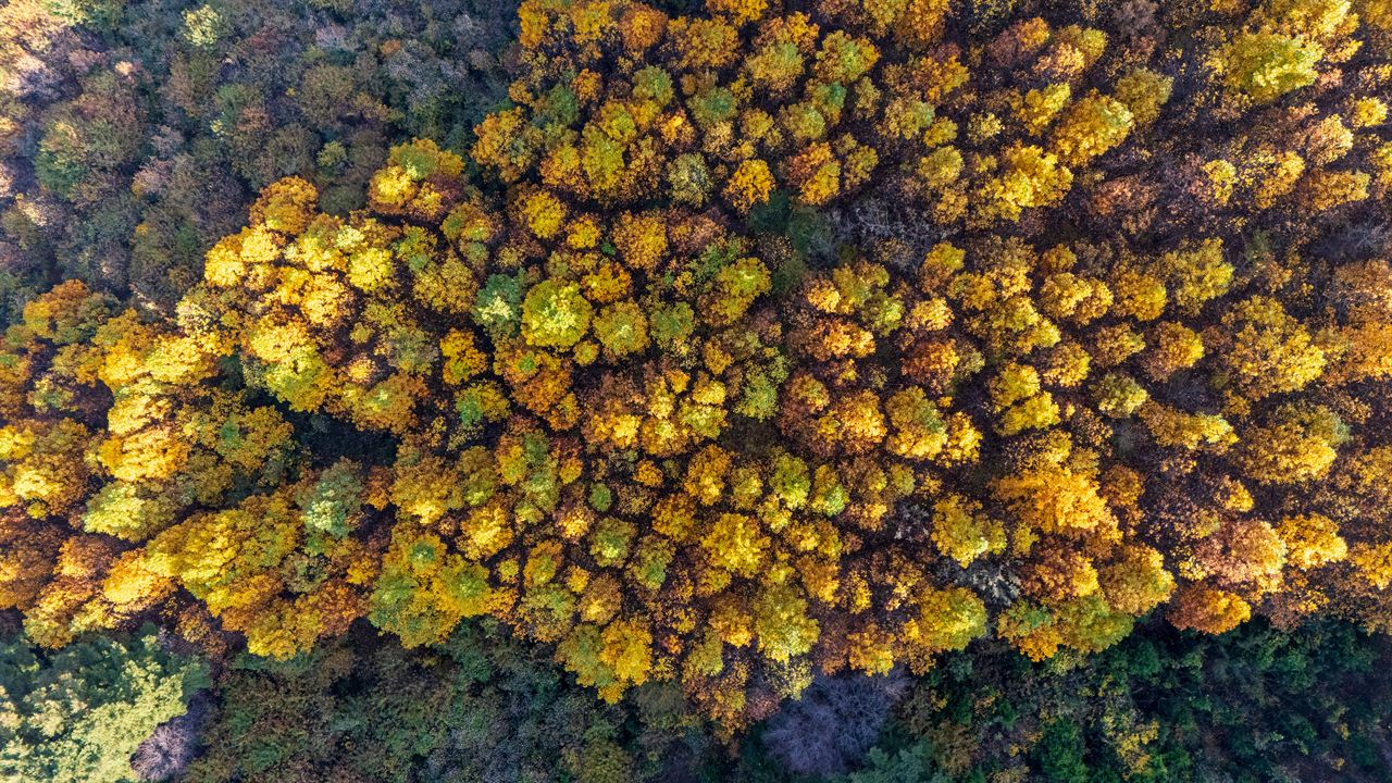 오서산