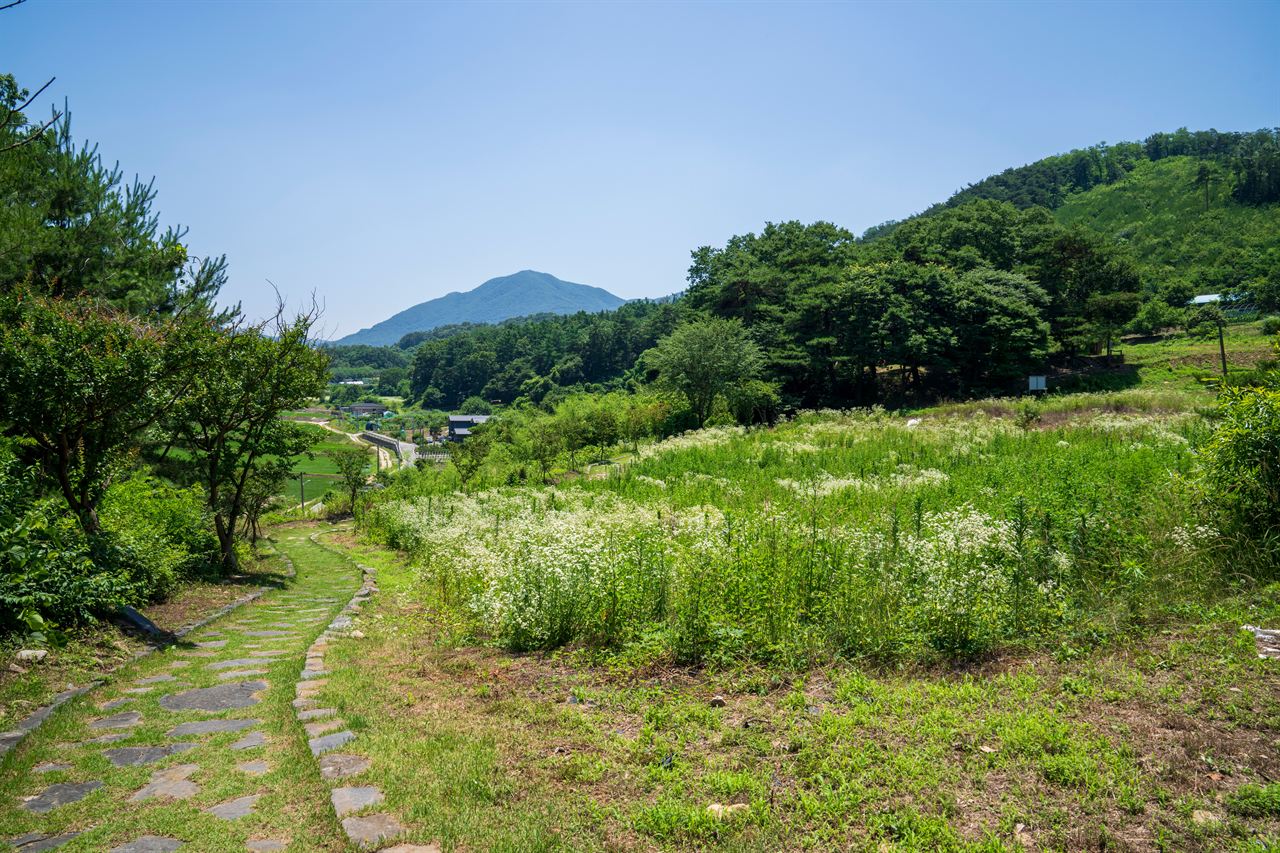 아산 맹씨 행단 관광사진