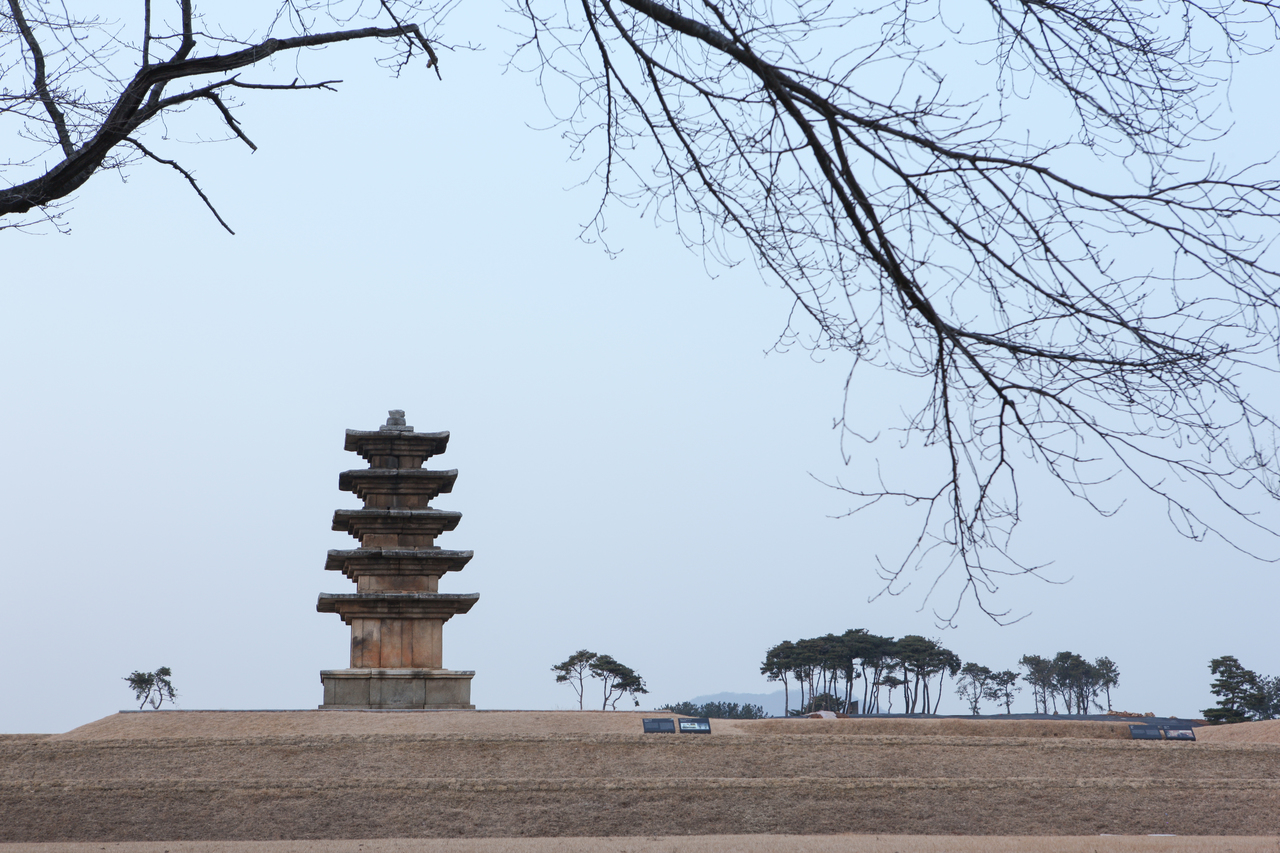 전주 국제 영화제(JIFF)