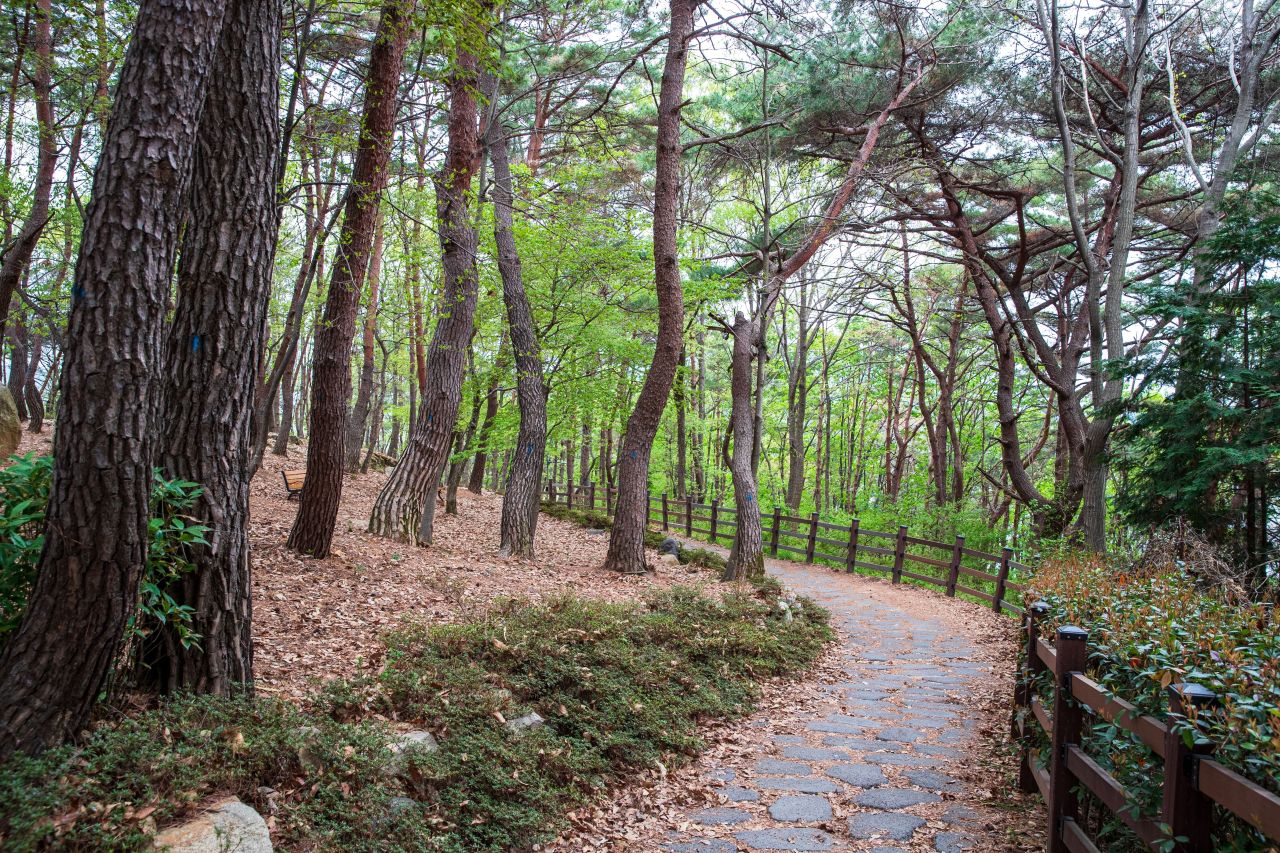 임경대 관광사진