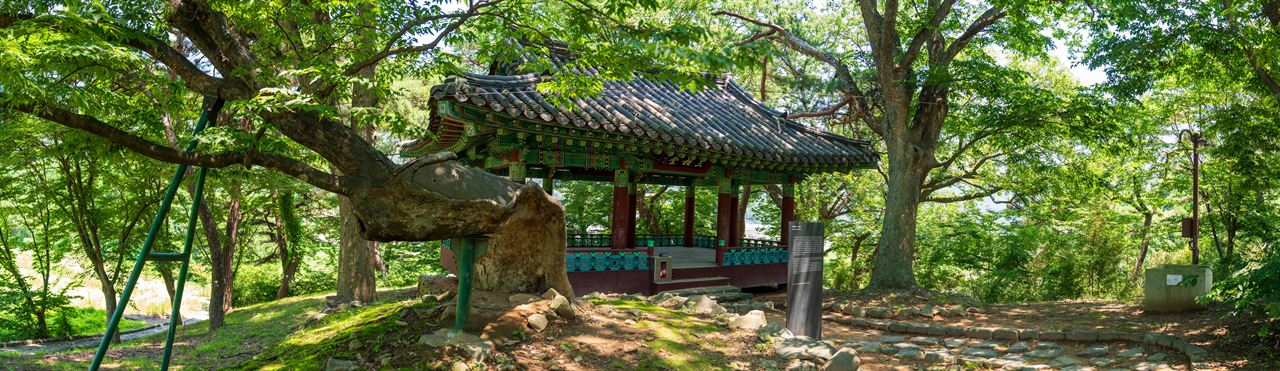 아산 맹씨 행단