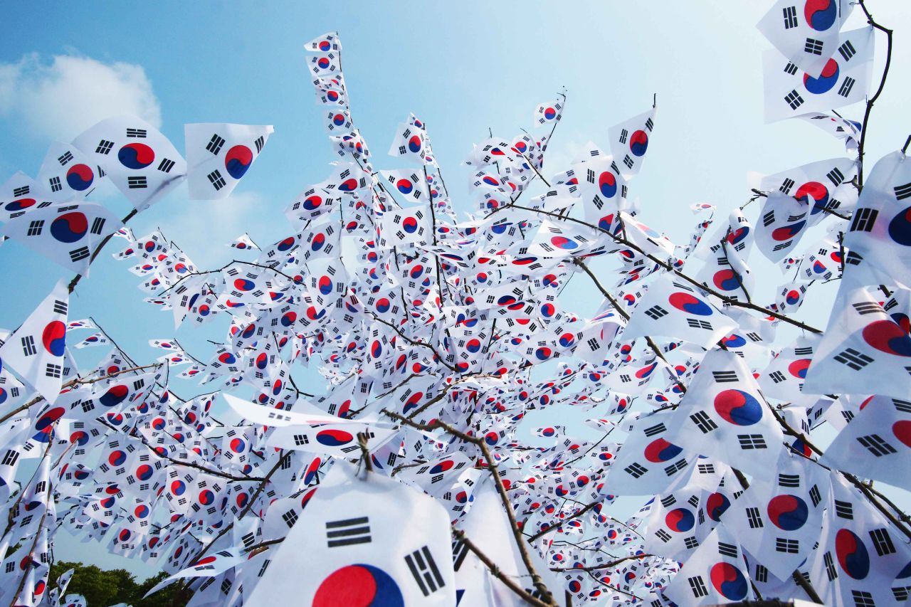 태극기나무 관광사진