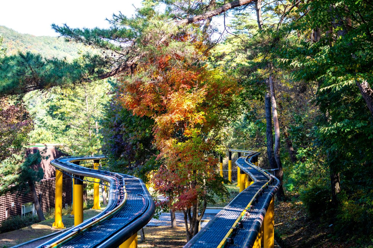속리산테마파크 관광사진
