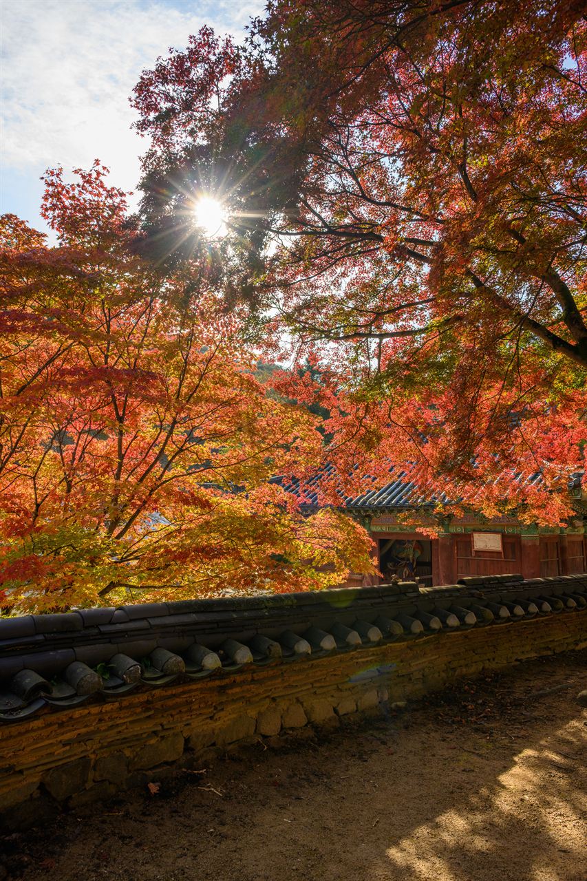 공주 마곡사