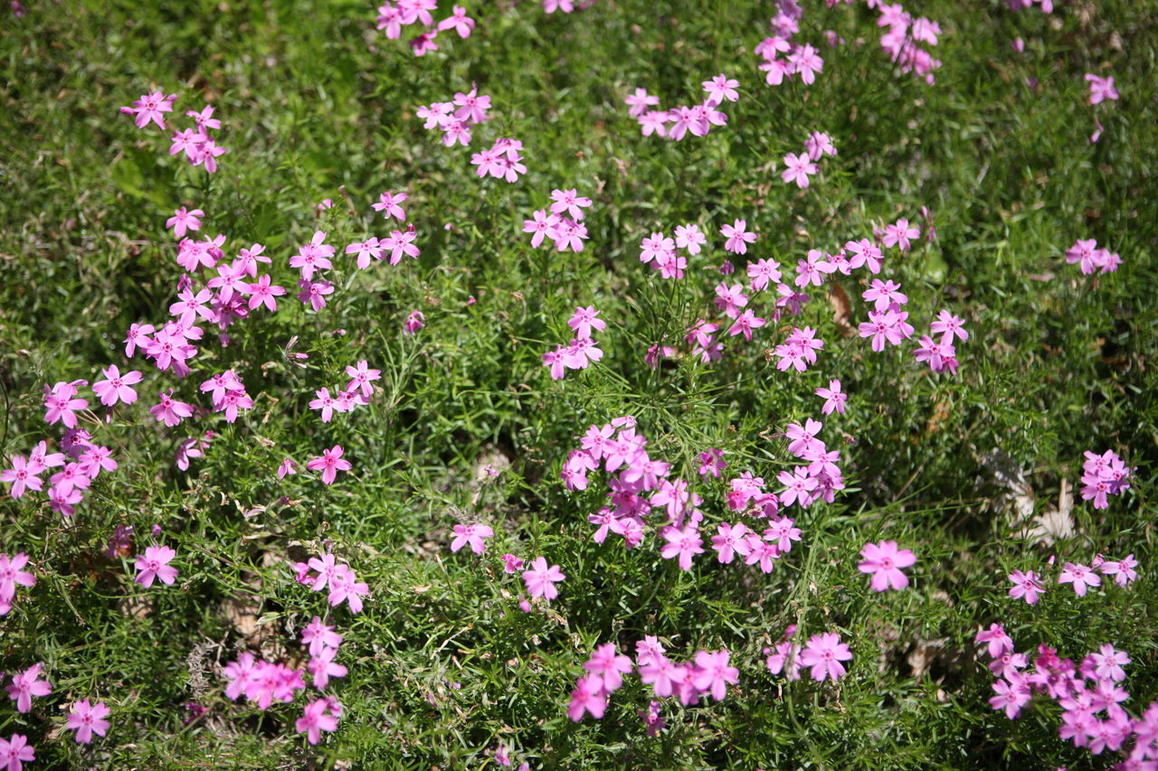 명지산 사진 3