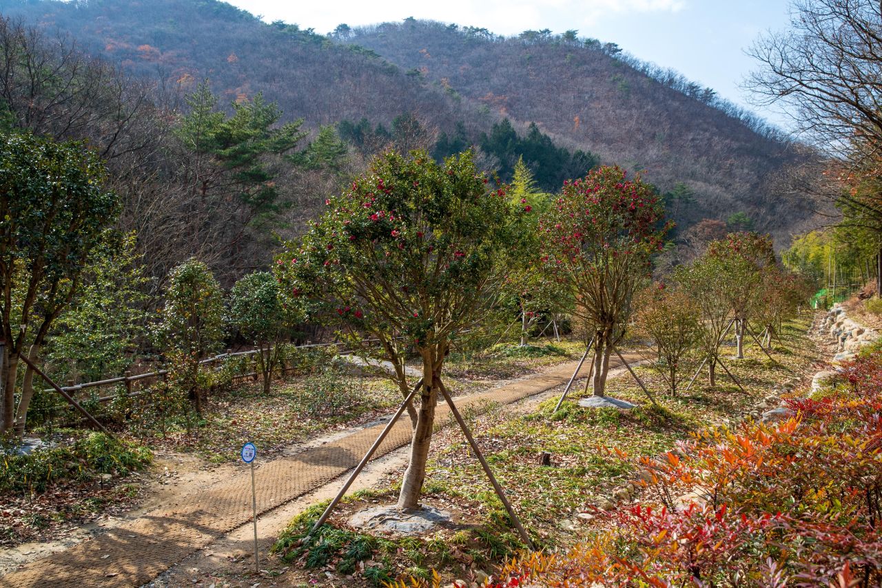 울산수목원 관광사진