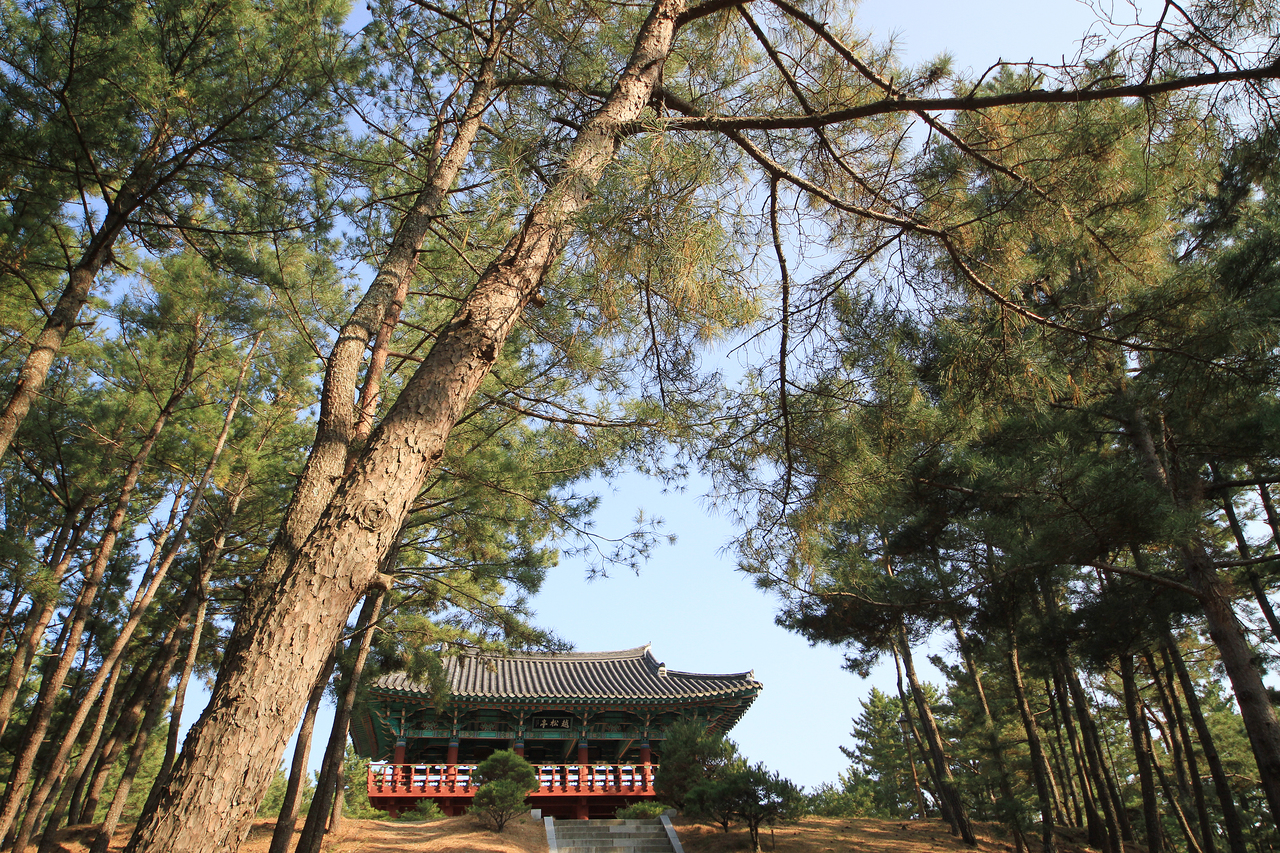울진 월송정 포토코리아 공식 사진