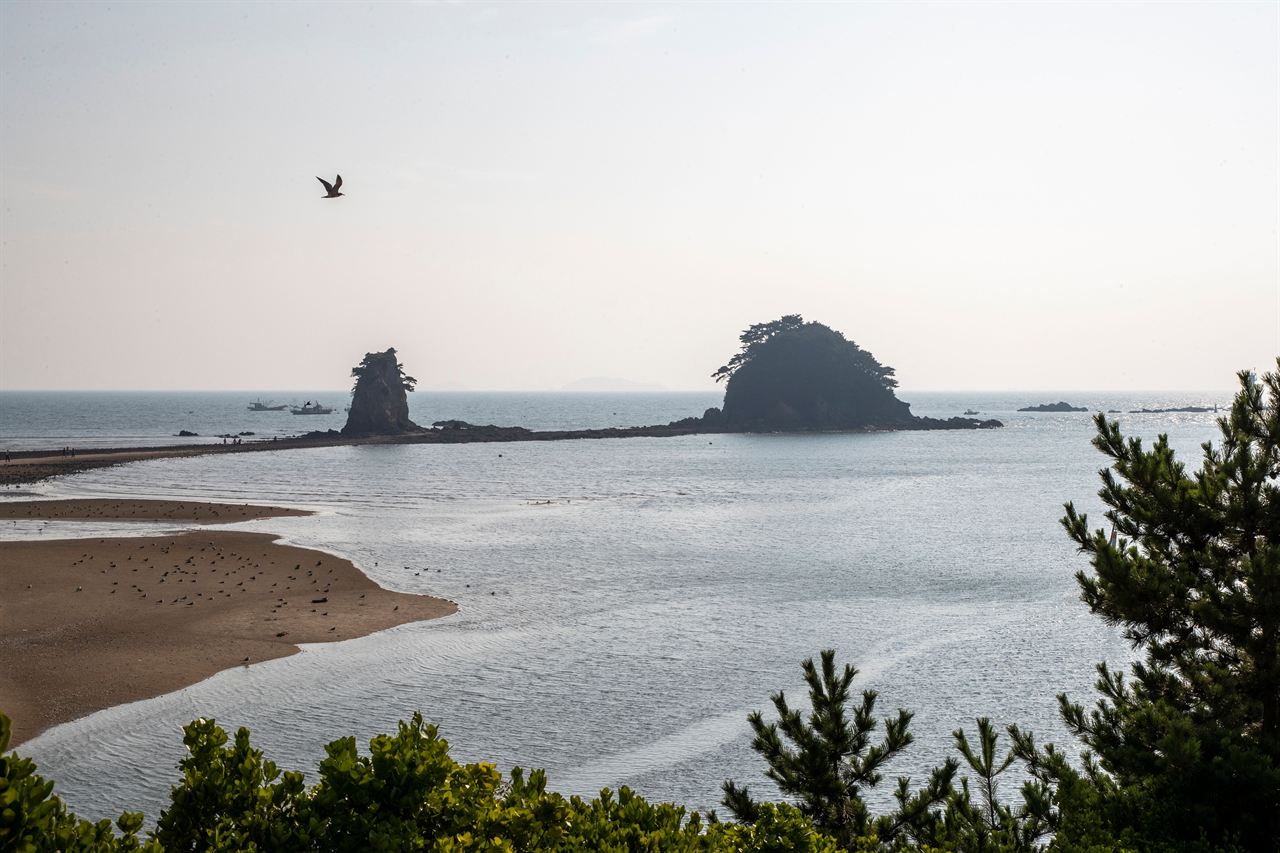 꽃지해수욕장