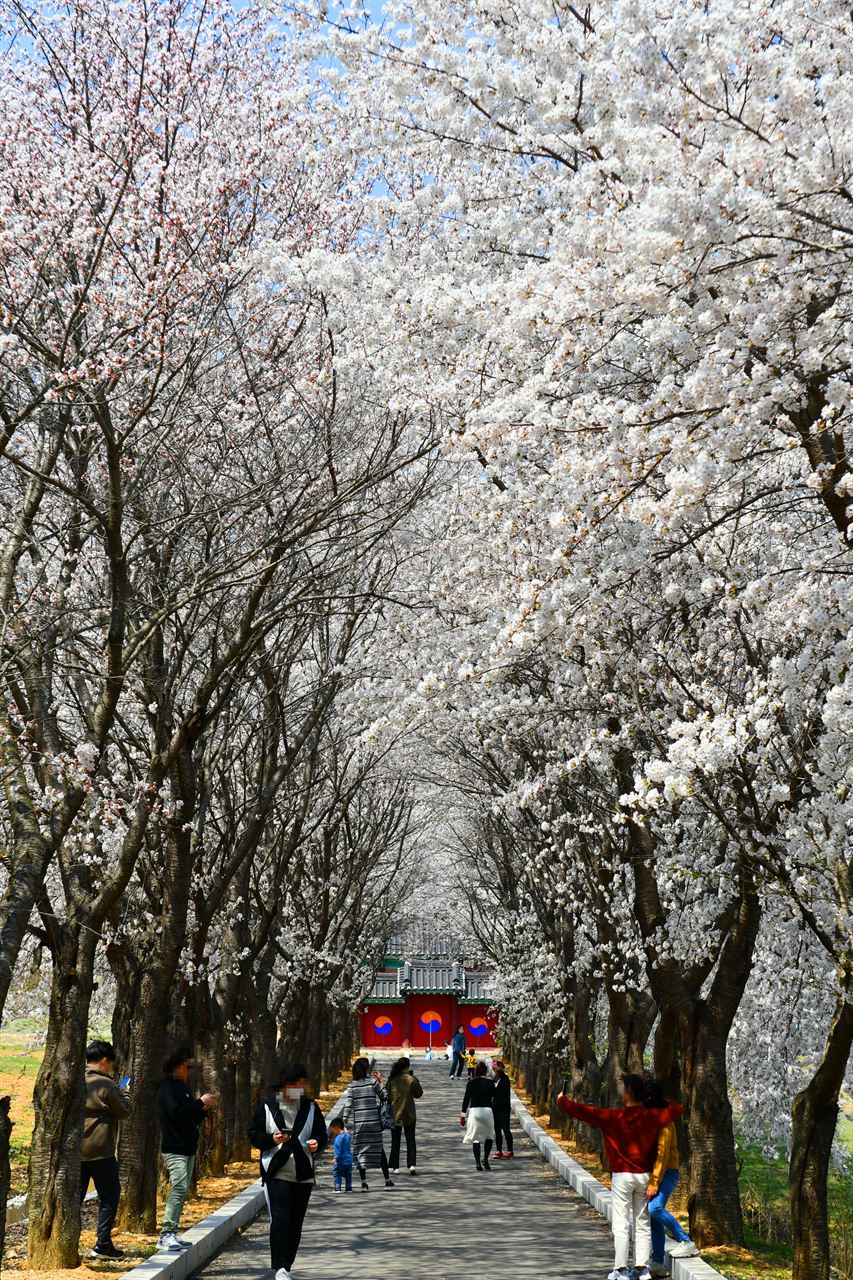 화천 산천어축제 (세계 4대 겨울 축제)
