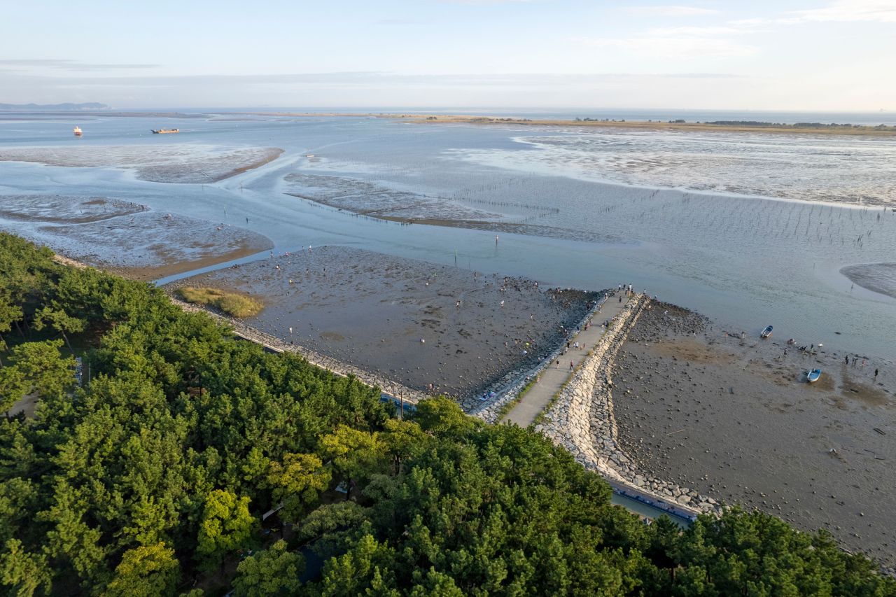 신호공원 - 관광 포토
