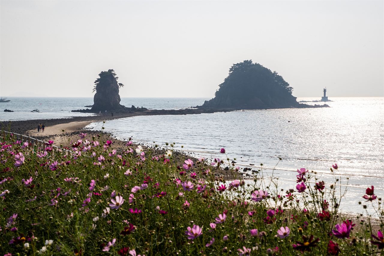 꽃지해수욕장