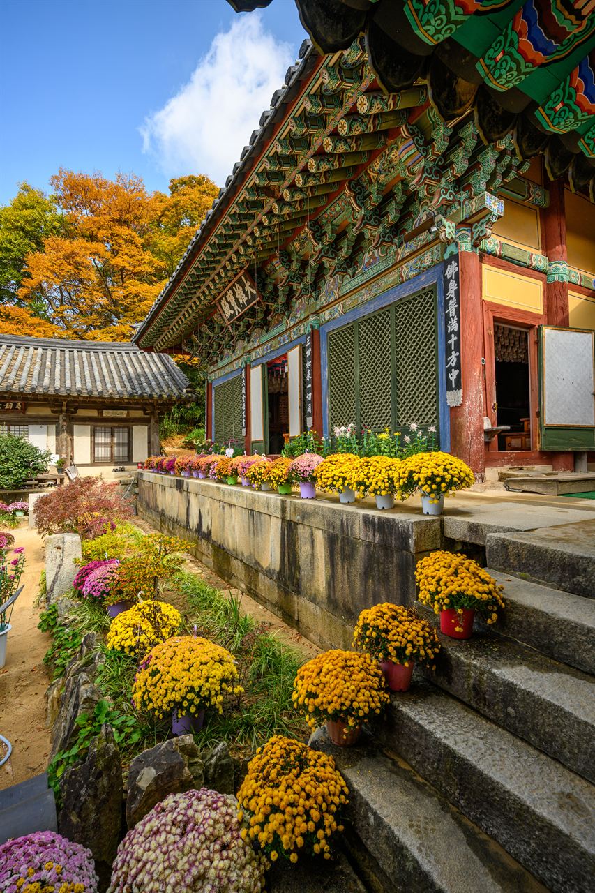 서산 개심사