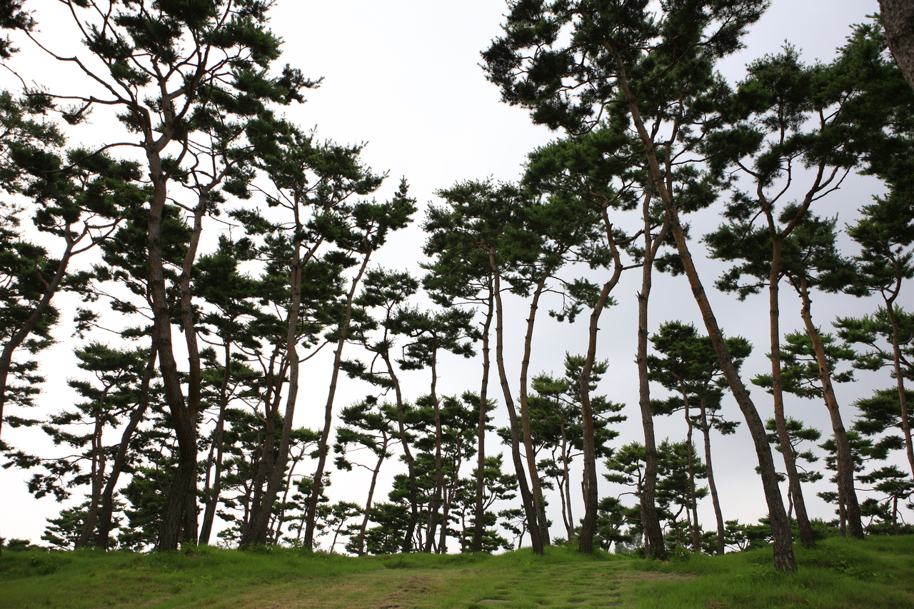 계백장군묘
