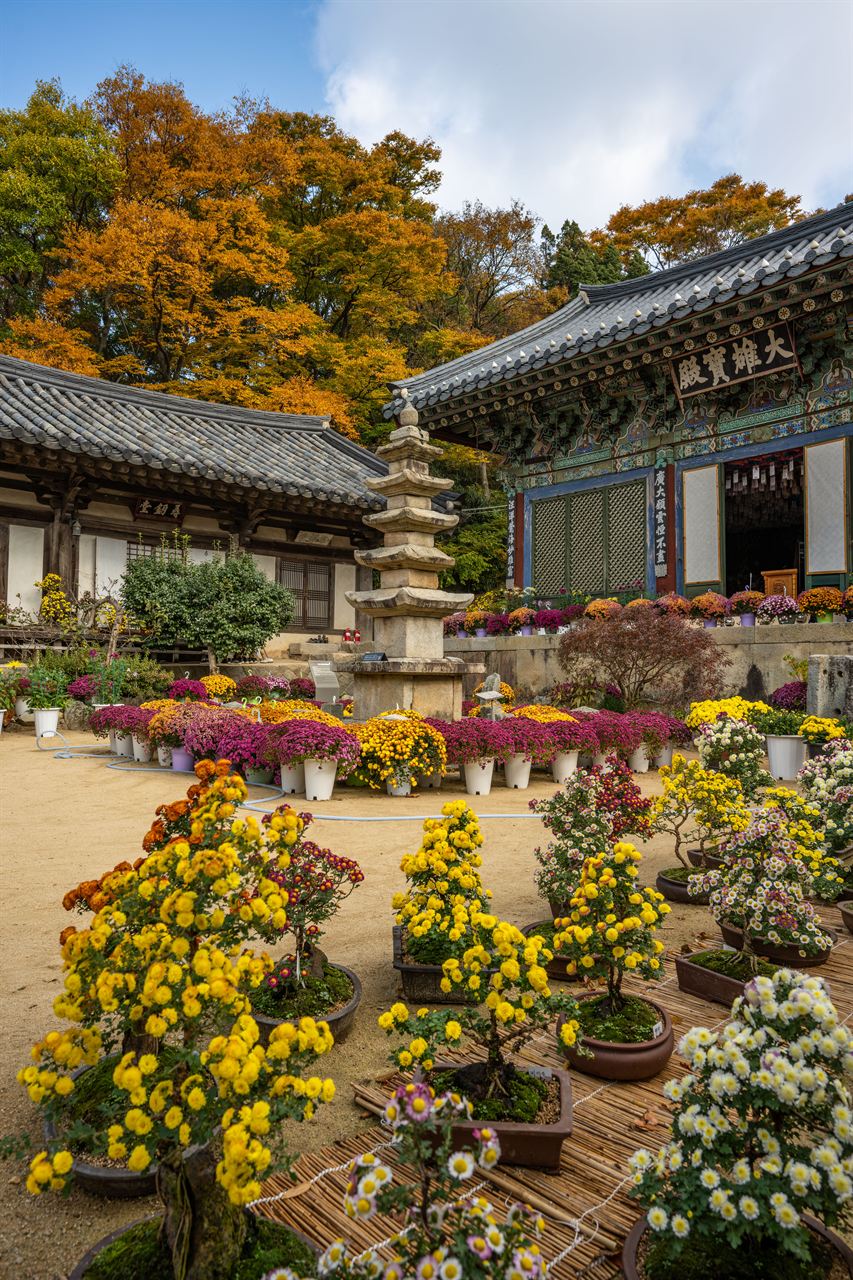 서산 개심사