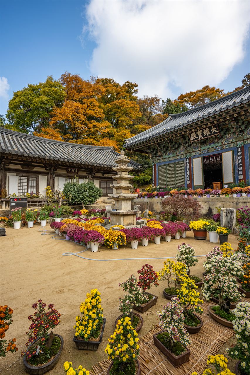 서산 개심사