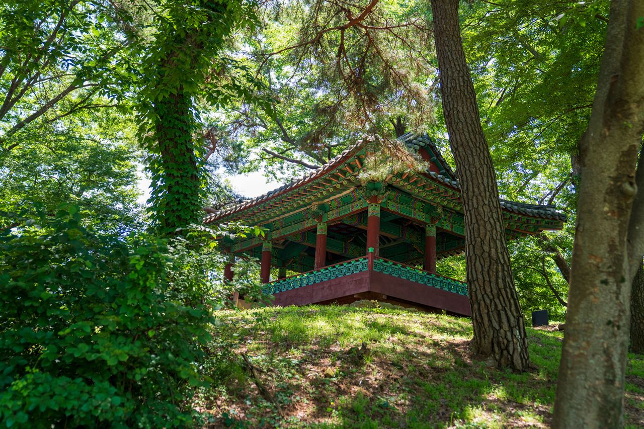아산 맹씨 행단