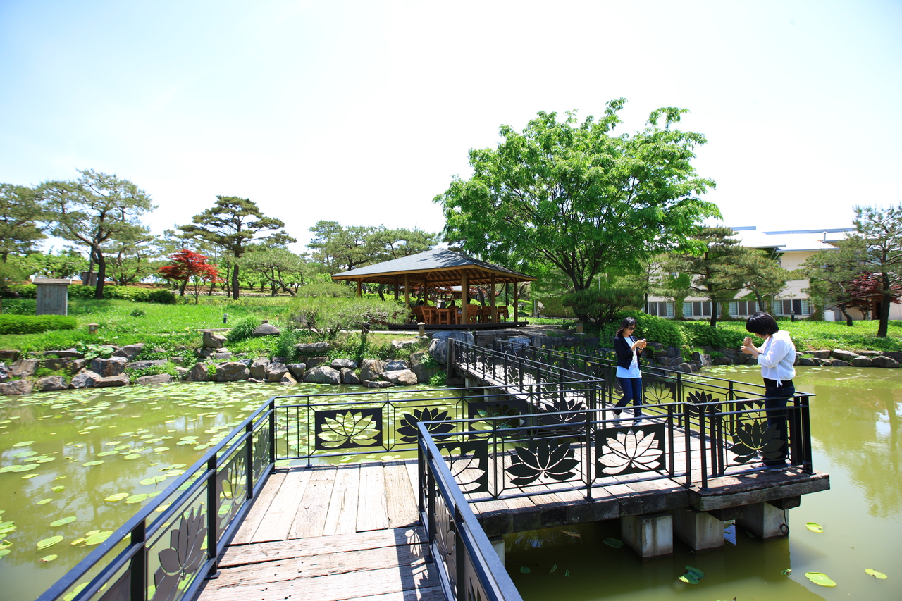 Pond-edge walk