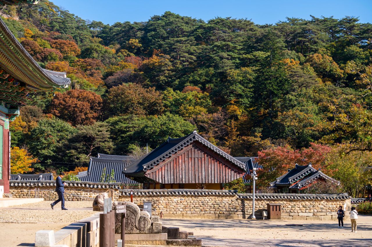 보은 법주사 관광사진