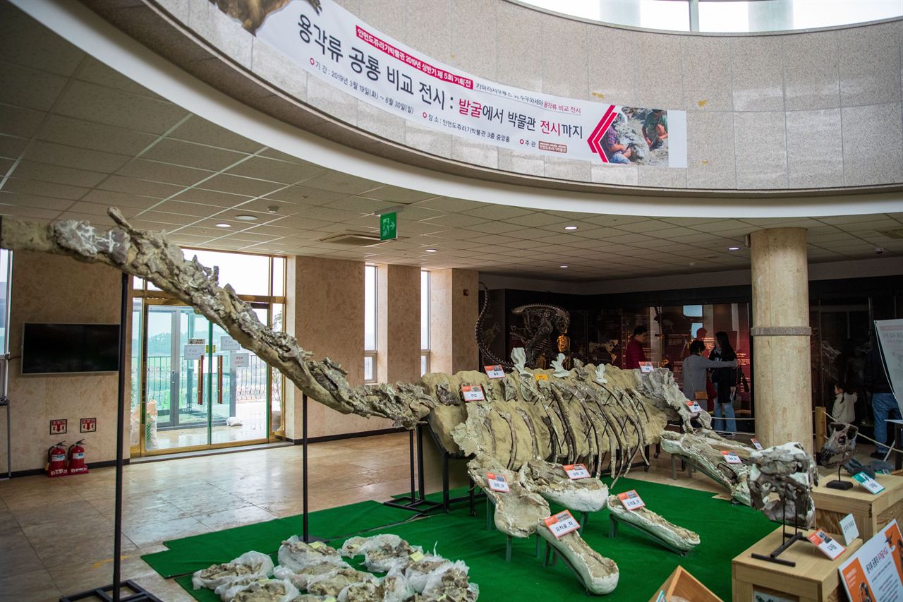 안면도 쥬라기박물관