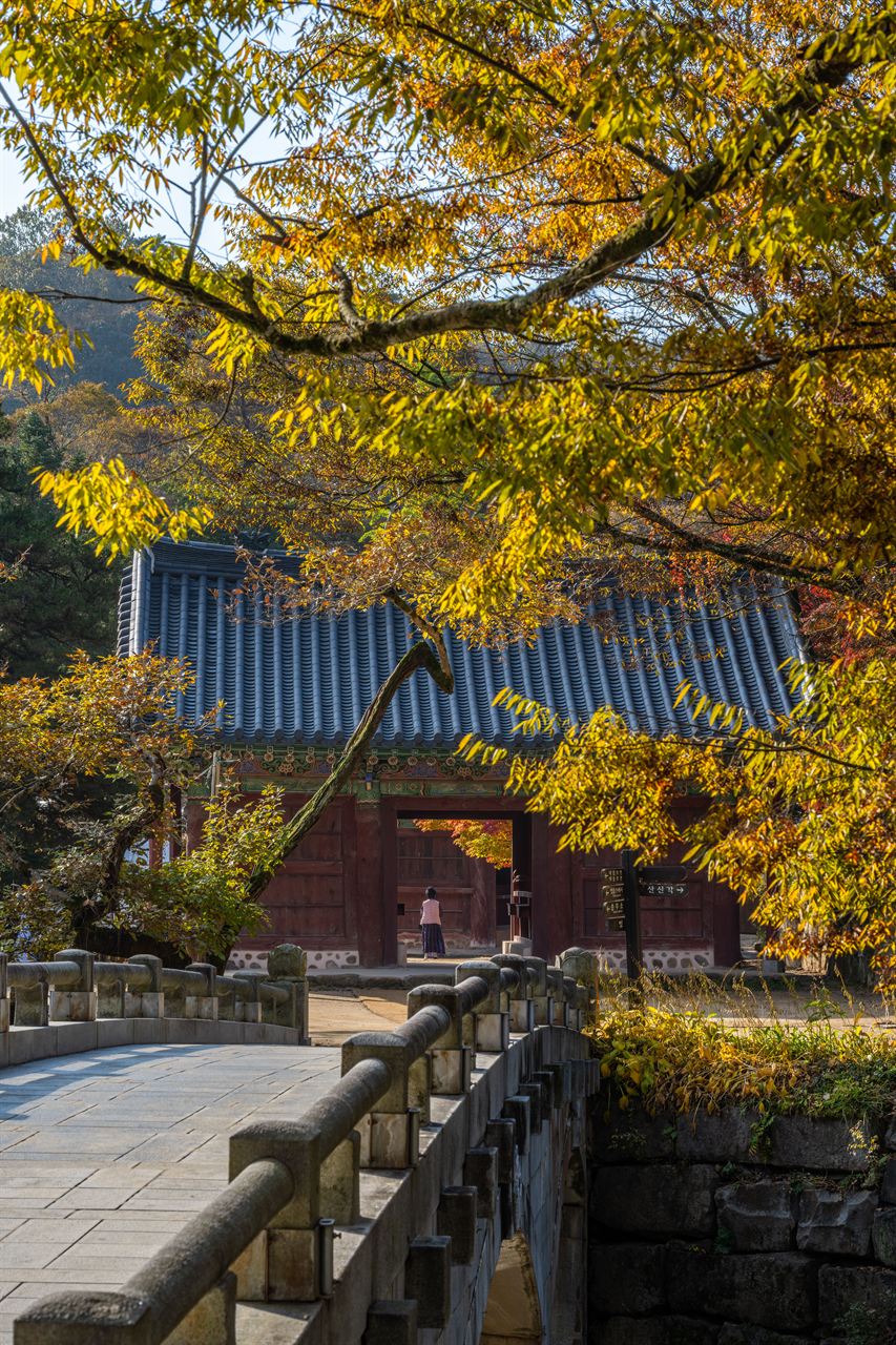 공주 마곡사