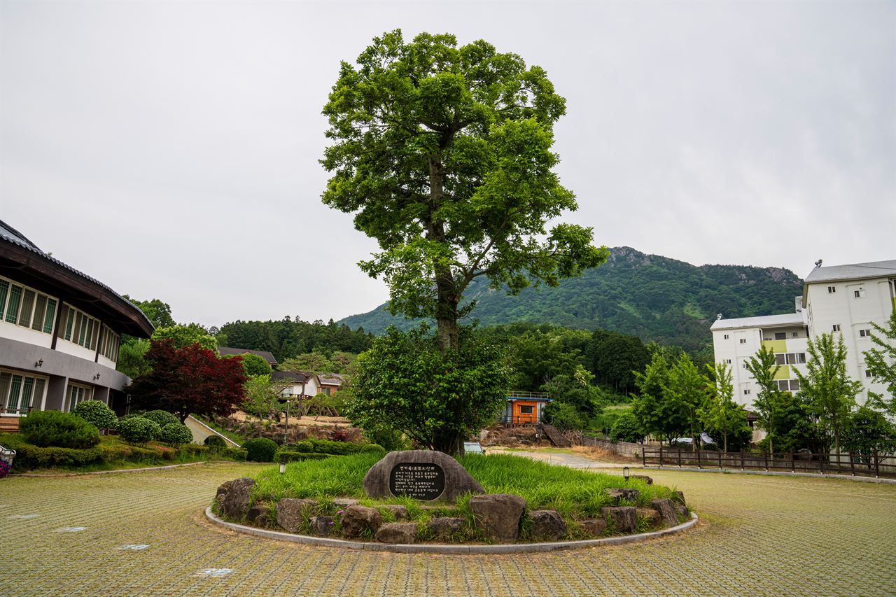 4072686