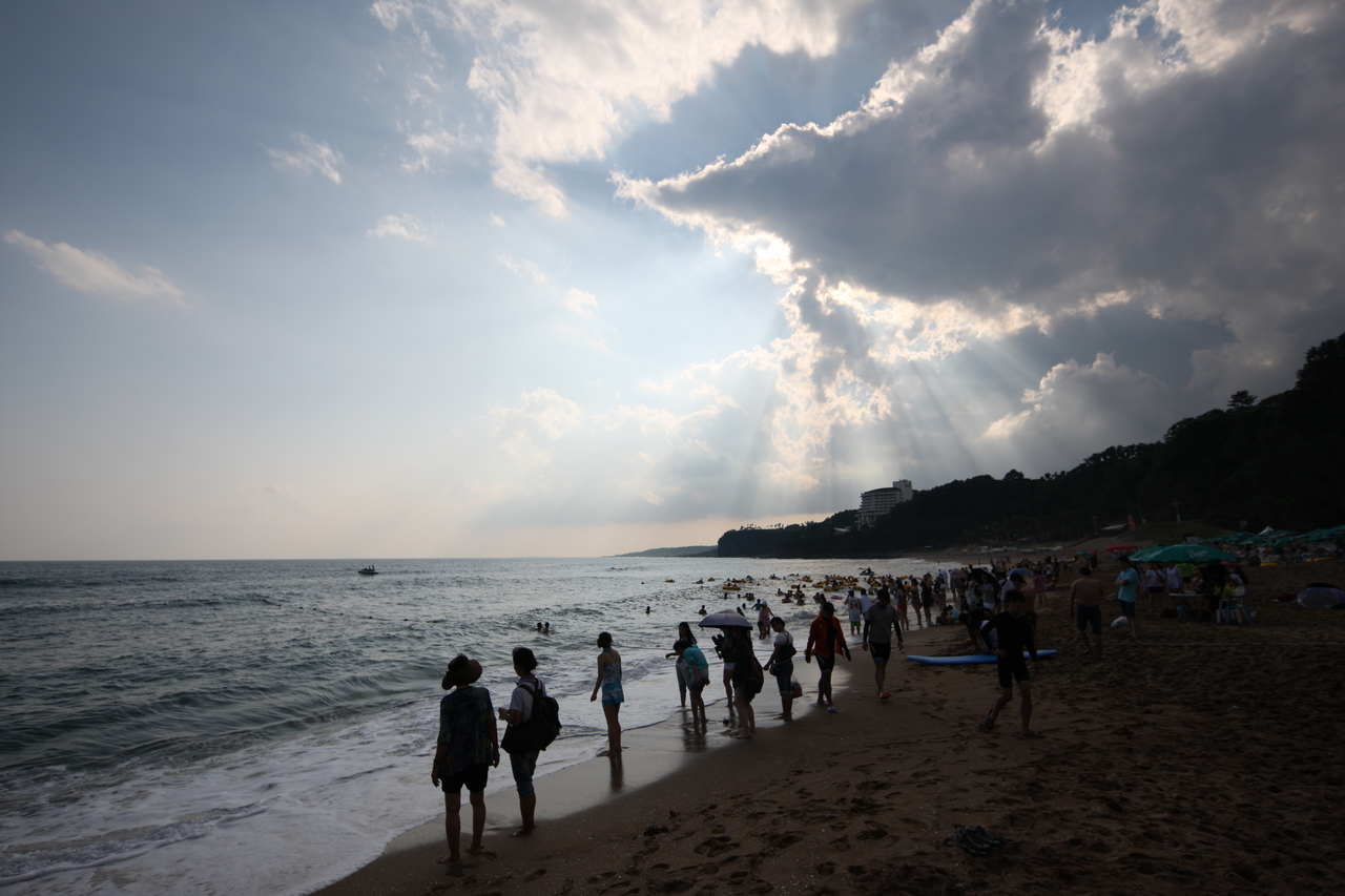 Jungmun Saekdal Beach's sand beneath tree-covered cliffs on Jeju's south coast